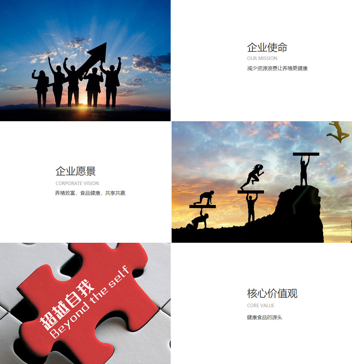 永信贵宾会app下载(图1)